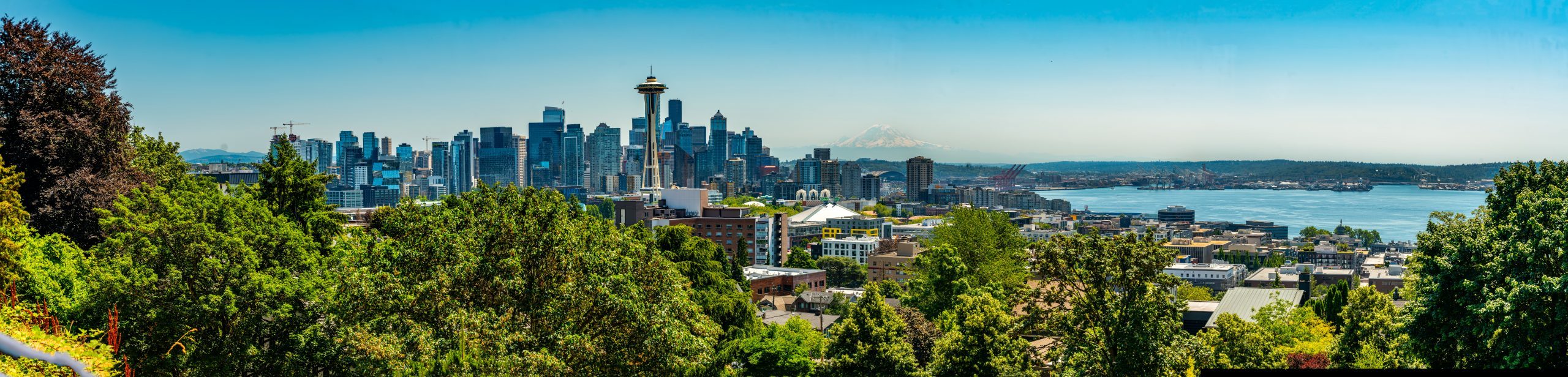 Your realtor in Washington